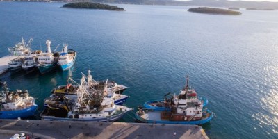 Podno&scaron;enje zahtjeva za "De minimis" potporu i zahtjeva za kompenzacije za &scaron;tete od dupina