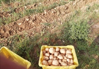 Javni poziv&nbsp;za dodjelu sredstava potpora iz područja poljoprivrede i ruralnog razvoja za 2020. godinu