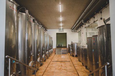 Natječaji za podno&scaron;enje zahtjeva za potporu iz sektora vina za intervencije &bdquo;58.1.k.01. &ndash; PROMOWINE &ndash; Promidžba&ldquo; i 58.1.h.01. INFOR &ndash; Informiranje&ldquo;