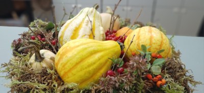 Poljoprivrednoj, prehrambenoj i veterinarskoj &scaron;koli Stanka Ožanića odobreno financiranje projekta &bdquo;Tradicionalni okusi u novom ruhu&ldquo;