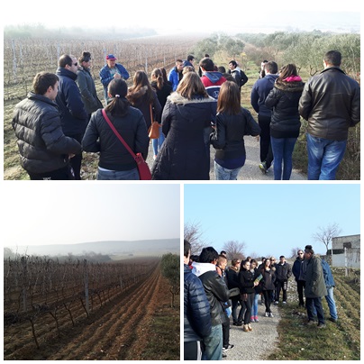 Studijsko putovanje u okviru projekta AgVenturers  &ndash; Posjet 4 uspje&scaron;na vinogradara i maslinara s područja Zadarske županije