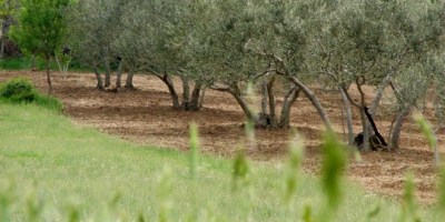 Objavljen Natječaj za tip operacije 4.4.1 Neproduktivna ulaganja povezana s očuvanjem okoli&scaron;a